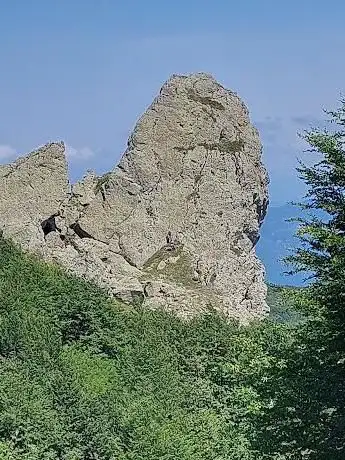 Photo de Dente della Cipolla