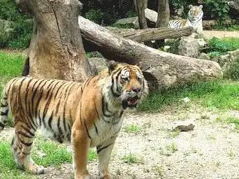 Zoo de Besançon
