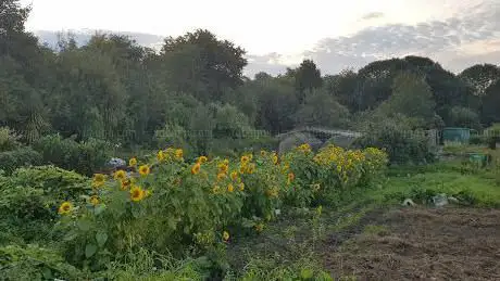 Photo de French Barn Lane Allotments