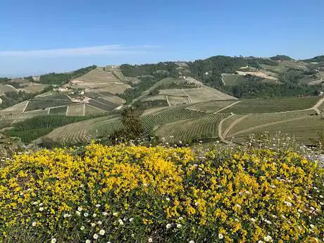 Belvedere di Serralunga d'Alba