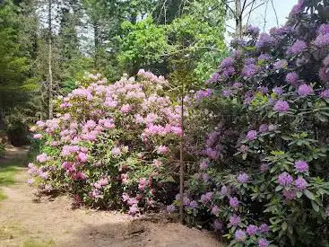 Arboretum am Eckberg