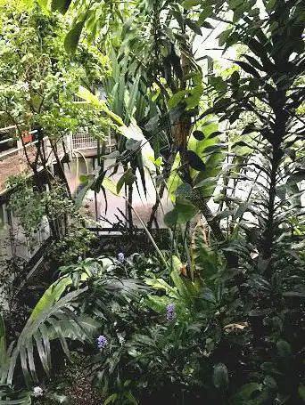Photo de Serre Tropicale