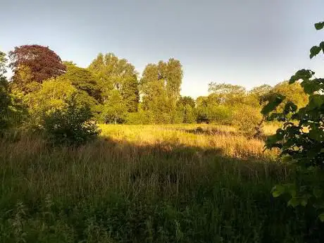 Photo de Wolvey Wildlife Reserve