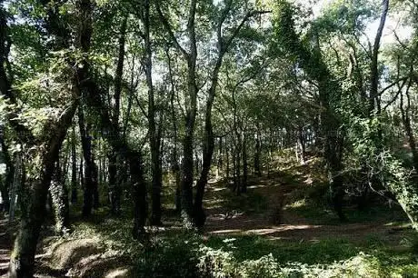Fraga de Cecebre