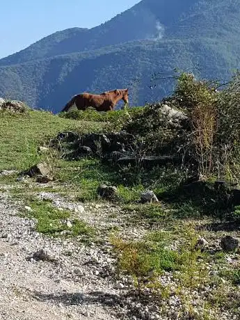 Photo de Passo di Turci