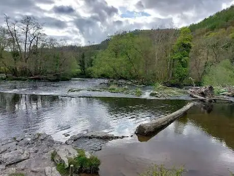 Photo de Horseshoe Falls