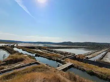 Photo de SeÄovlje Salina Nature Park