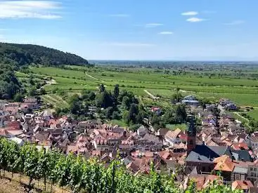 Haardtrand - Am Wingertsberg