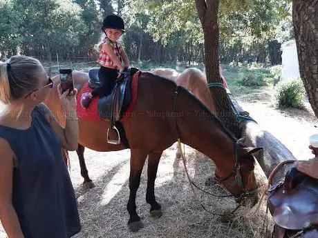 Photo de Ranch Mare