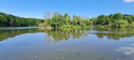 Photo de Mount Pleasant Lake