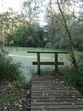 Photo de Estanyol d'en Sisó