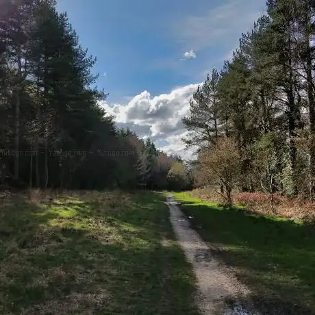 Photo de Lords Wood