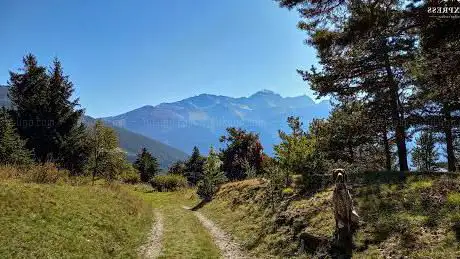 Platzgangl