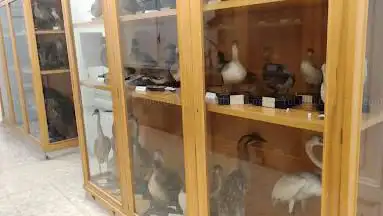 Museum of Zoology