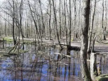 Photo de Het Stroperbos
