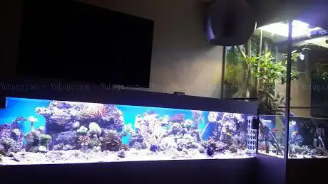 Aquarium Service Eindhoven