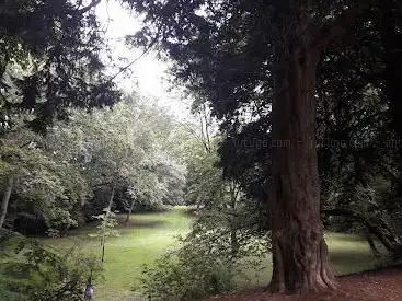 Photo de mortier Woods