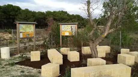 Inizio tratto Limitone dei Greci