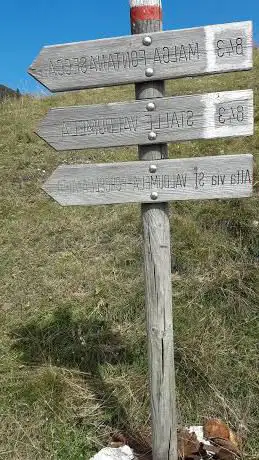 Photo de Malga Salarol