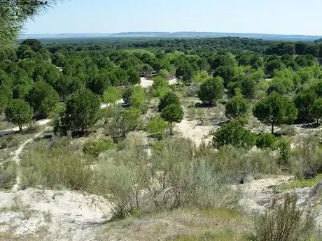 Photo de Espacio natural de la Arenera de Juarros