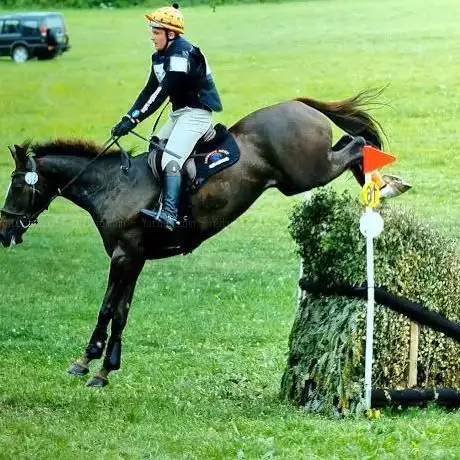 Theo Funnell Eventing
