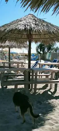 Photo de BAUBEACH