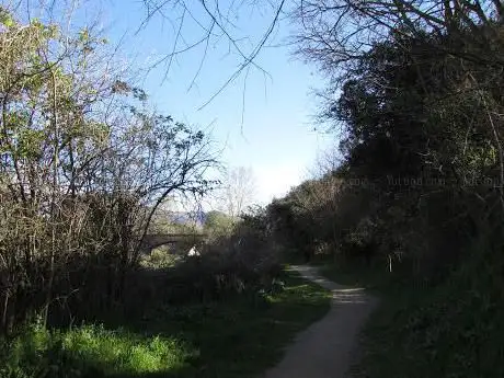Camí Ral de Sant Antoni
