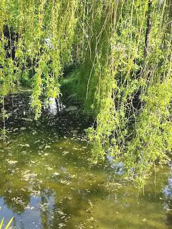 Arboretum de Giriviller