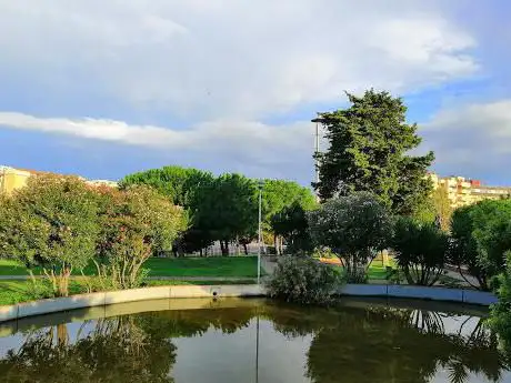 Parco Lions
