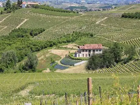 Pilates In Piemonte (Casale dell'Acero Rosso)