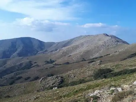 Arcu Artilai