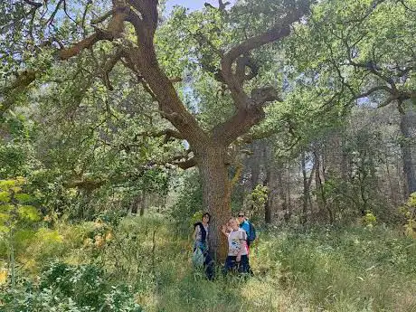 Photo de Bosco di Monte Cucco