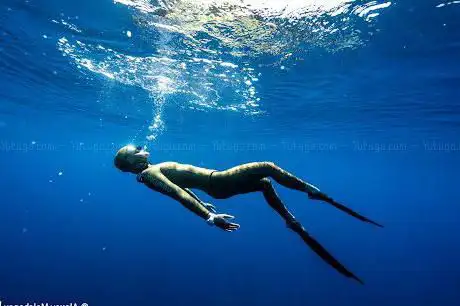Spearfishing & Freediving SW ( Molchanovs )