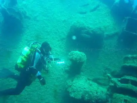 Photo de Diving Centro Sub Cecina