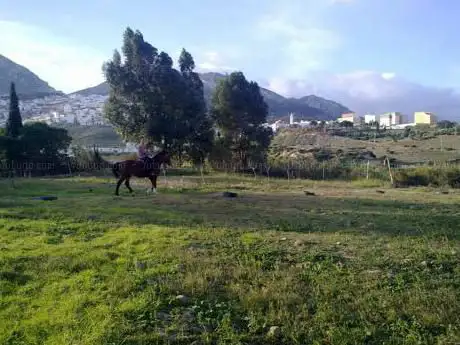 Bni Hozmar