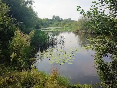 Photo de Parkhill Brickworks LNR