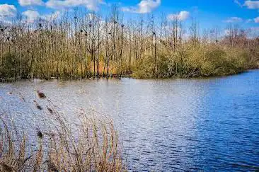 Broek De Naeyer