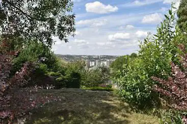 Farjon Woods