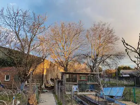 Le jardin de Mehdi