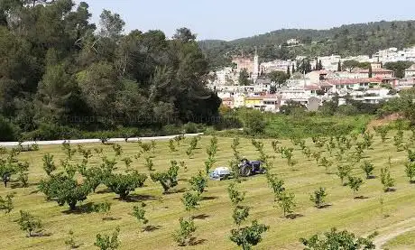 Photo de Mas Segarra