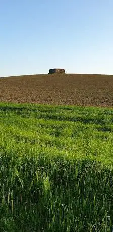 Bunker