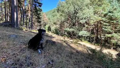 Photo de Arroyo de la Trocha