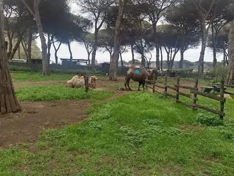 Photo de La Fattoria degli Animali