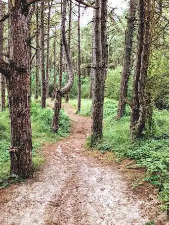 Photo de Sentier du littoral par le Crotoy