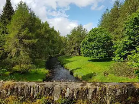 Photo de Killeter Forest