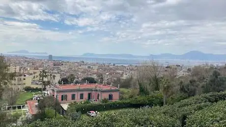 Photo de Terrazza del Belvedere