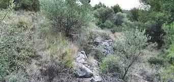 Photo de Oppidum du Cayla