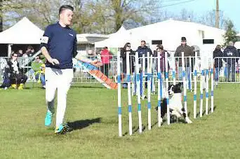 Photo de Club canin agility Noirterre