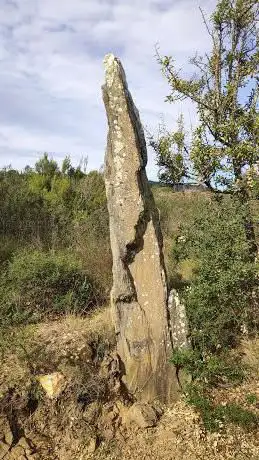 Photo de Menhir del Mas Roquer