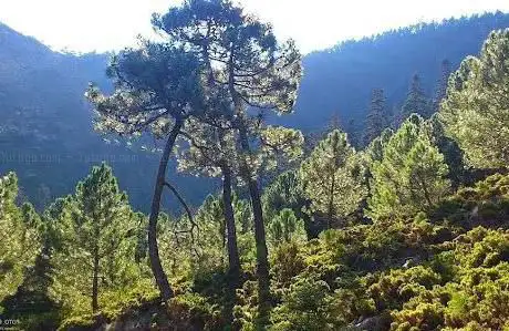 Photo de Sierra Bermeja Parque Nacional